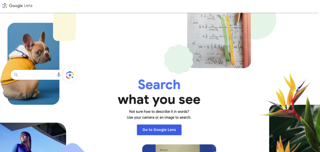 Google Lens homepage - search what you see